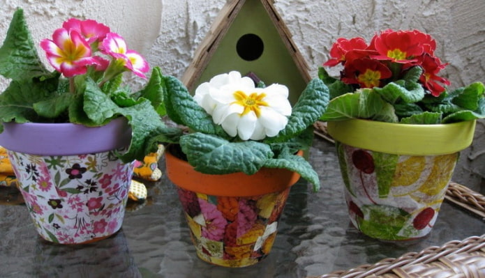 bloemen in potten