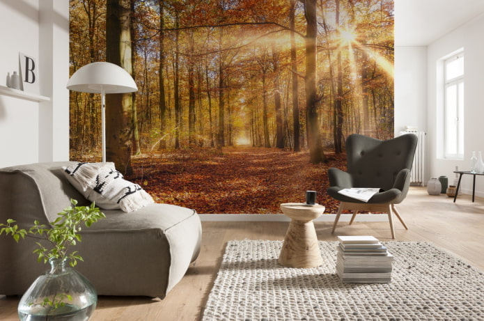 3D fotobehang in het interieur