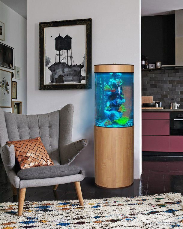 vormen en afmetingen van het aquarium