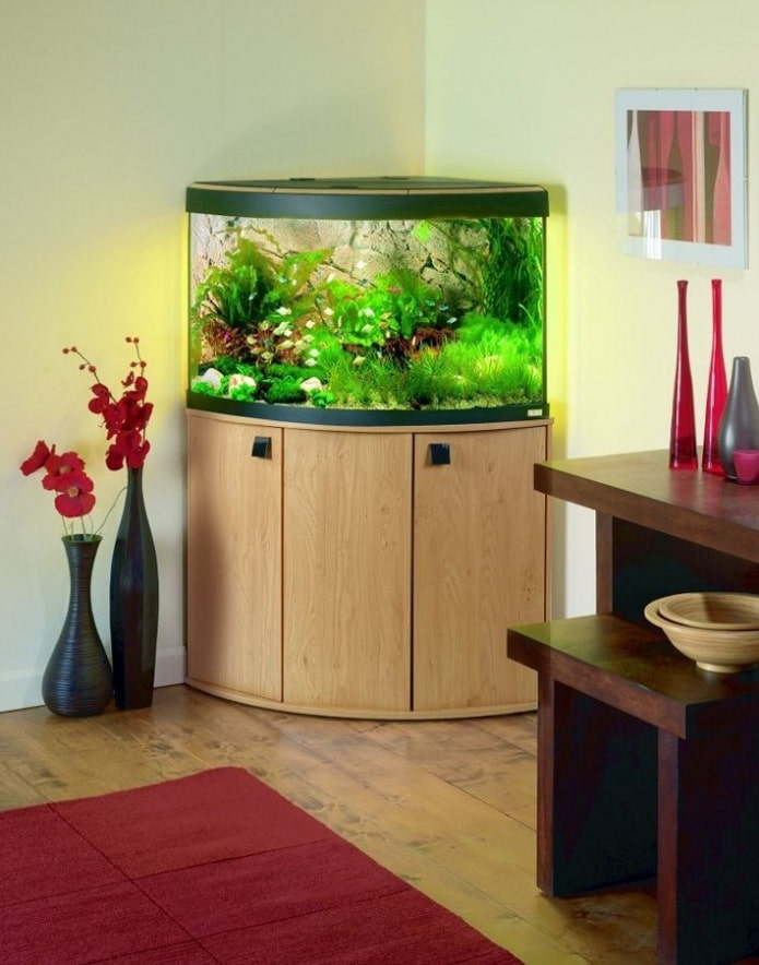 vormen en afmetingen van het aquarium