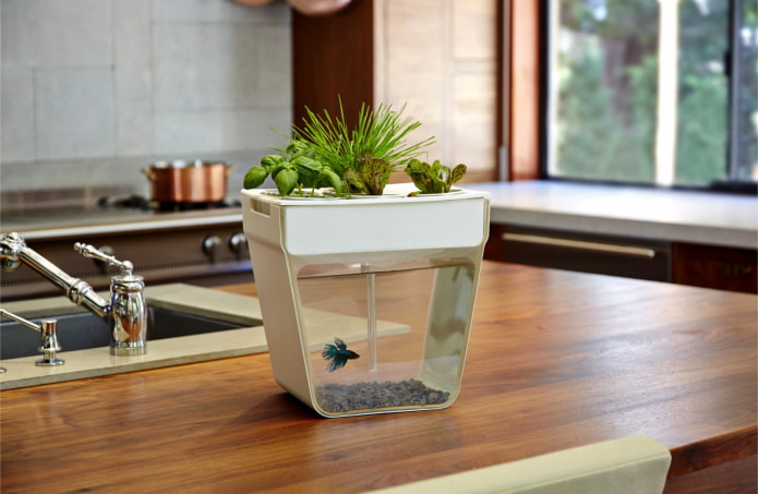 designer aquarium decoratie
