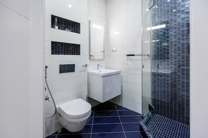 wit en blauw badkamerinterieur