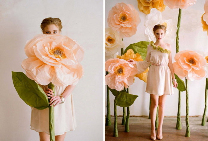 Groeibloemen