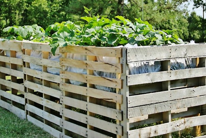 Hek van pallets