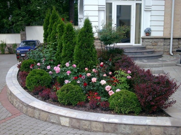 rozen met coniferen