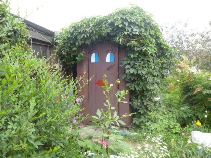 kruipplanten op het toilet