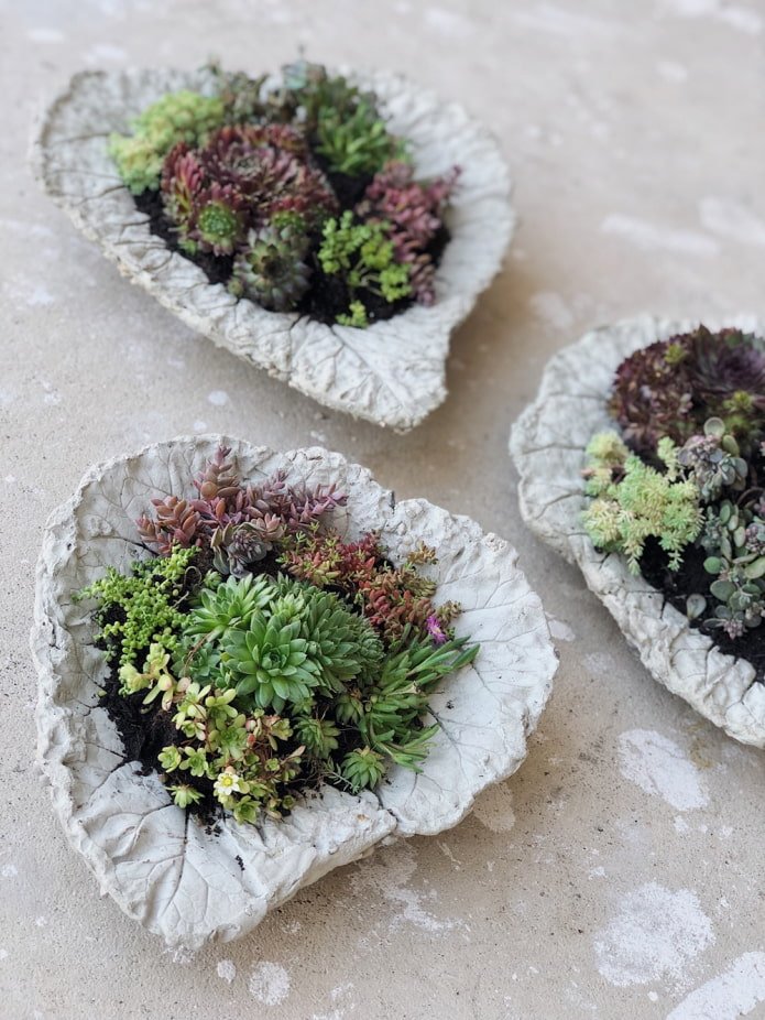 Betonnen bloempot