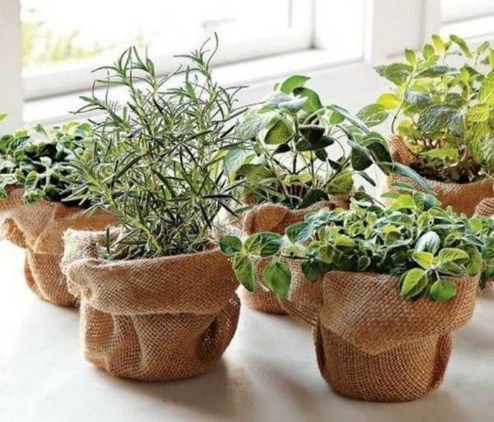 jute op een pot