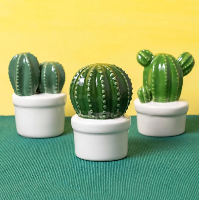 Cactusbeeldjes