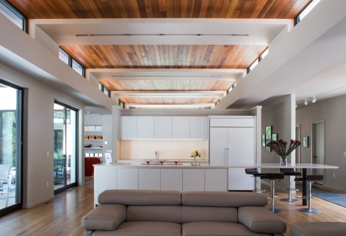 gecombineerd plafond in het interieur