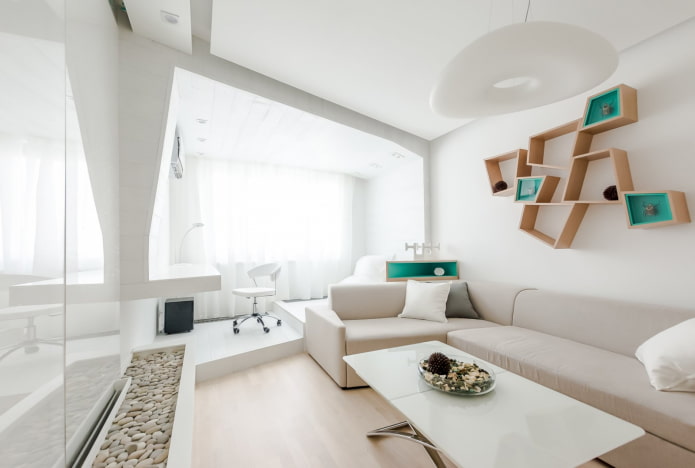 interieur van een hal van 16 vierkante meter in minimalistische stijl