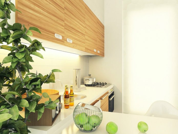 keuken in het ontwerpproject van een studio van 29 m?.