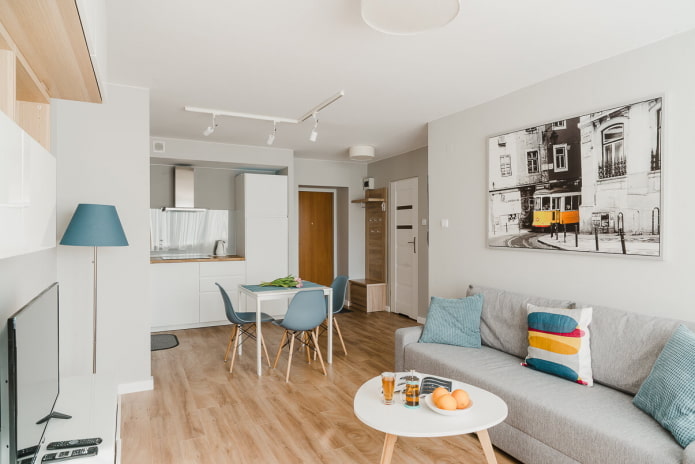 interieurontwerp van een keuken-woonkamer van 20 vierkanten