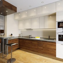 Keukenontwerp met bar: 60 moderne foto's van het interieur -11