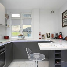 Keukenontwerp met bar: 60 moderne foto's van het interieur -9