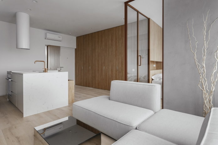 40 vierkante meter appartement in minimalistische stijl