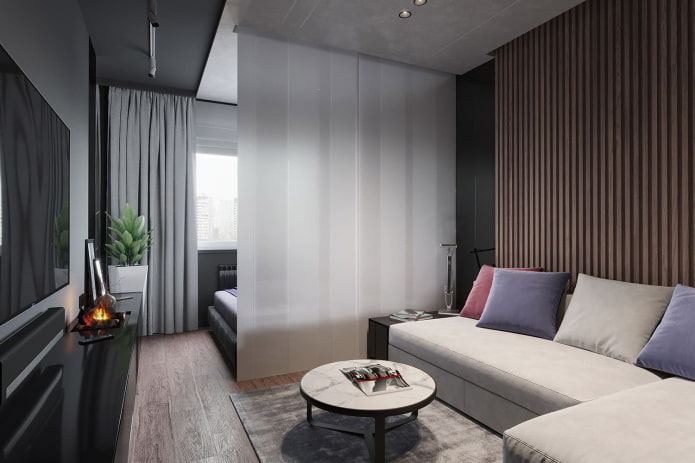 interieur van een eenkamerappartement van 45 vierkante meter