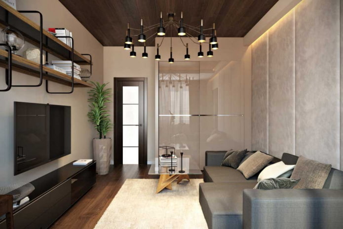 woonkamerinterieur in een appartement van 50 vierkante meter