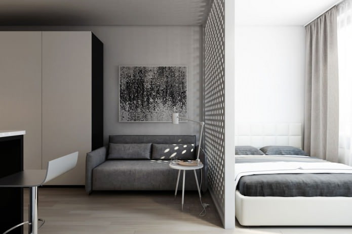 Ontwerpproject van een studio van 29 m? met een decoratieve scheidingswand