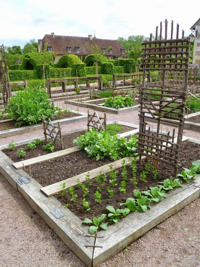 moestuin met moestuin