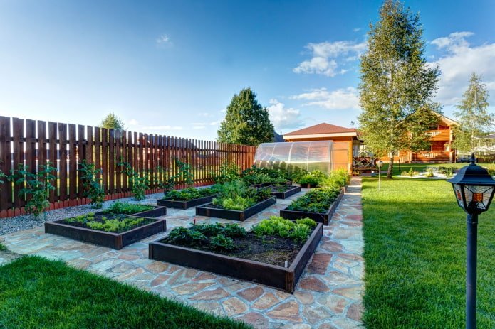 moestuin bij de datsja
