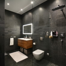 Interieur van een badkamer gecombineerd met een toilet-1