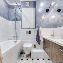 Interieur van een badkamer gecombineerd met een toilet-2