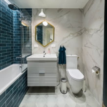 Interieur van een badkamer gecombineerd met een toilet-3