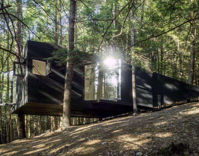 Huis tussen de dennenbomen