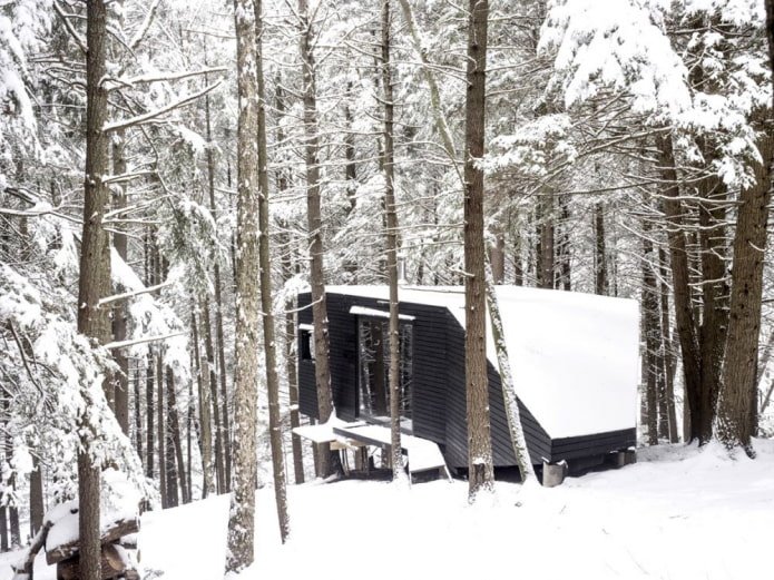 Huis in de winter