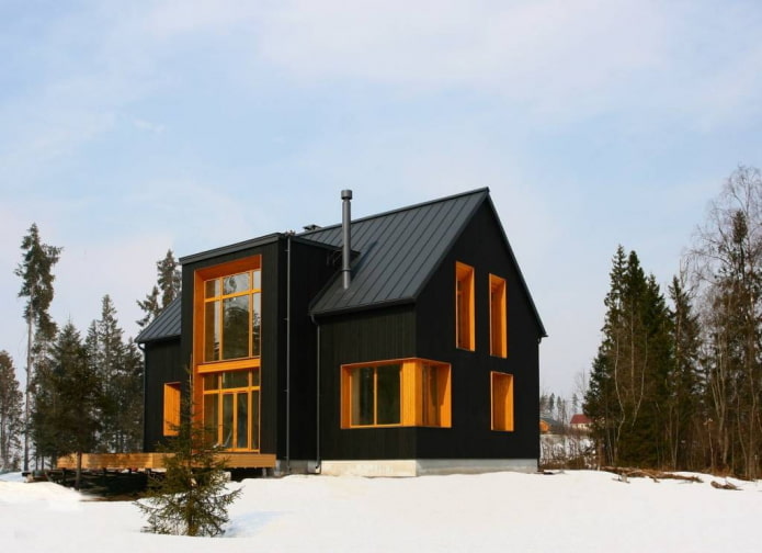 zwart huis in Scandinavische stijl