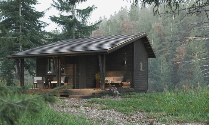 klein huis in Scandinavische stijl