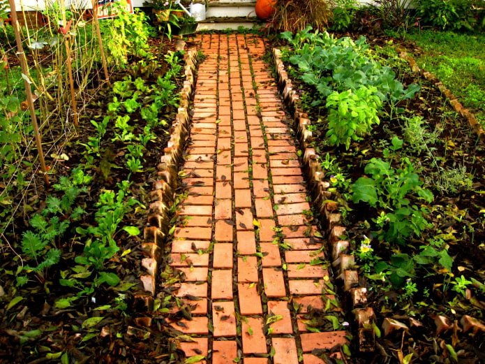 bakstenen pad tussen tuinbedden