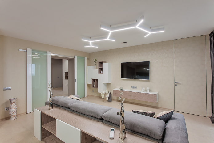 deuren in het interieur van de woonkamer in een moderne stijl