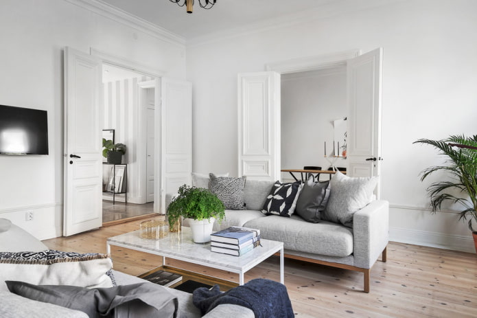 deuren in het interieur van een doorloopkamer in de woonkamer
