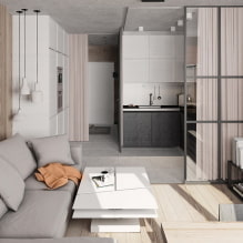 Kenmerken van het ontwerp van het Euro-2-kamerappartement-4