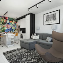 Kenmerken van het ontwerp van het Euro-2-kamerappartement-5