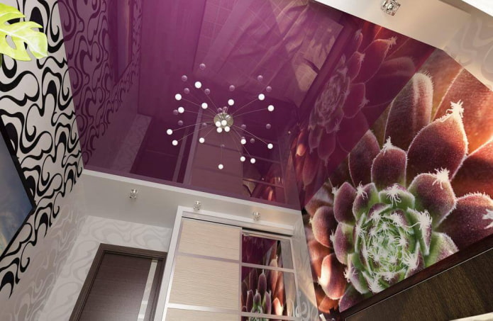 paars plafond