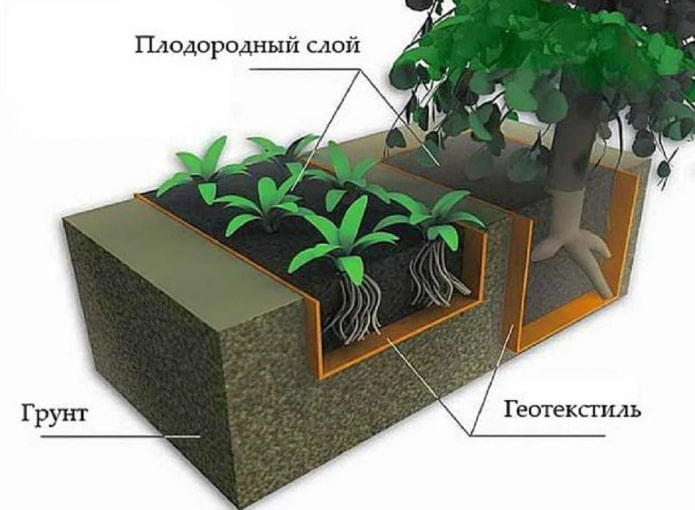 geotextiel voor wortels