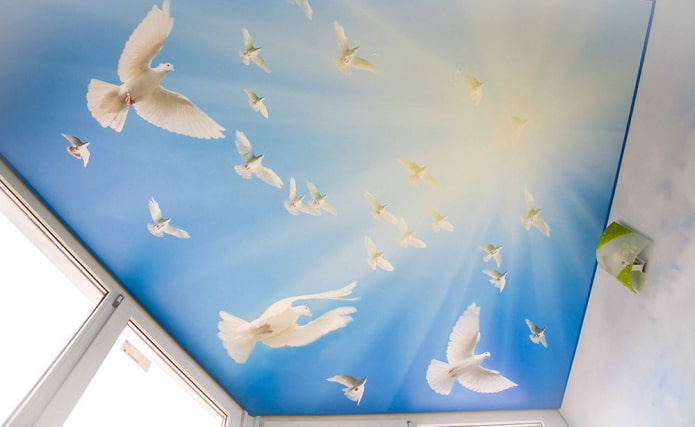 blauw spanplafond met fotoprint