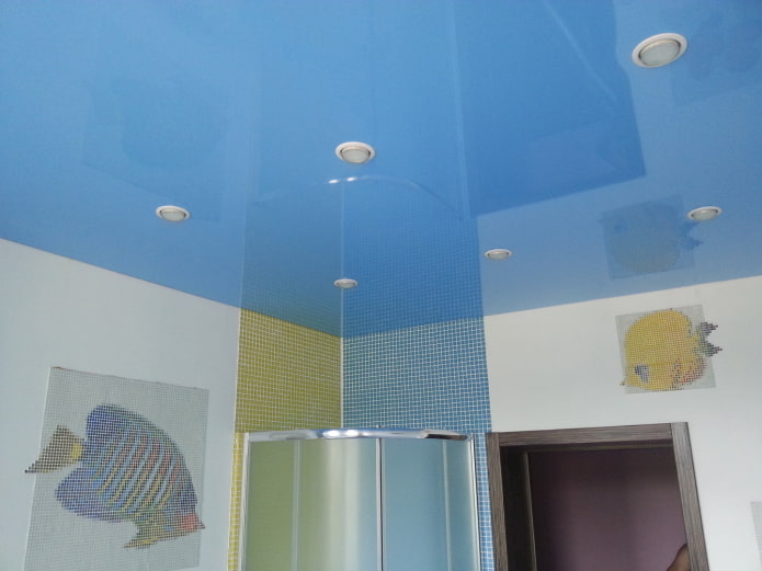enkelvoudig spanplafond in blauw