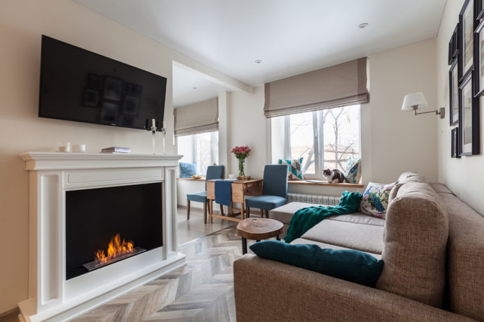 biofeaceroom en tv in het interieur van de woonkamer