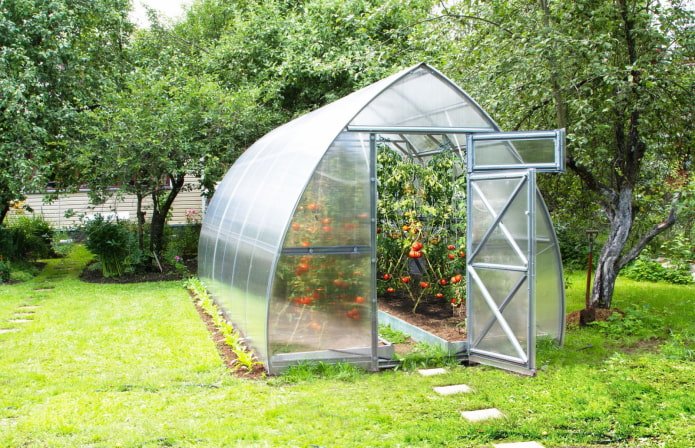 kas met tomaten op het platteland