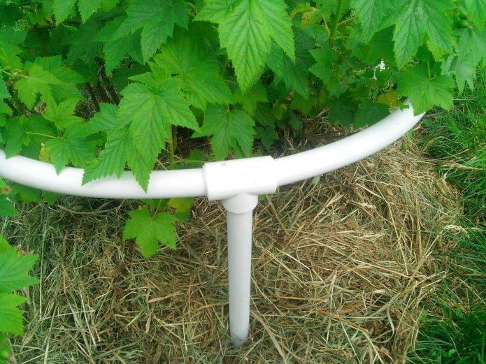 steunen voor struiken