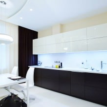 Interieur in zwart-wittinten: ontwerpkenmerken, 60 foto's-1