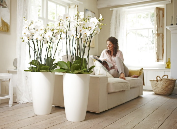 kunststof orchidee?n in het interieur