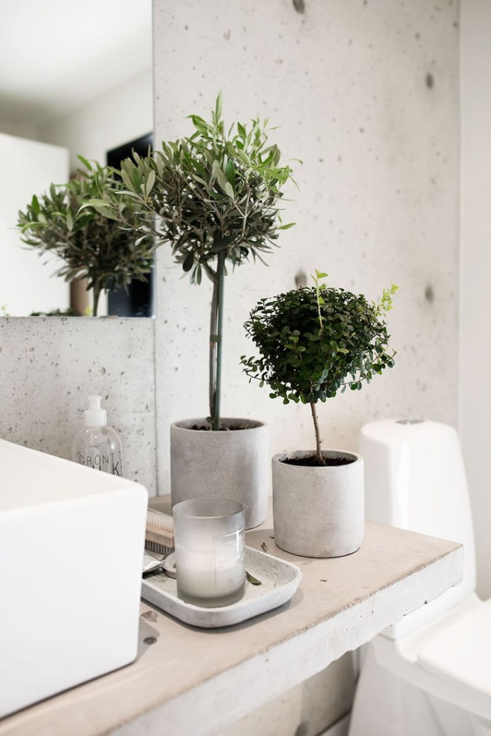 kunststof ficussen in de badkamer