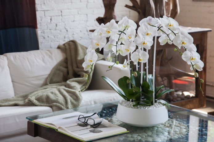 kunststof orchidee op tafel