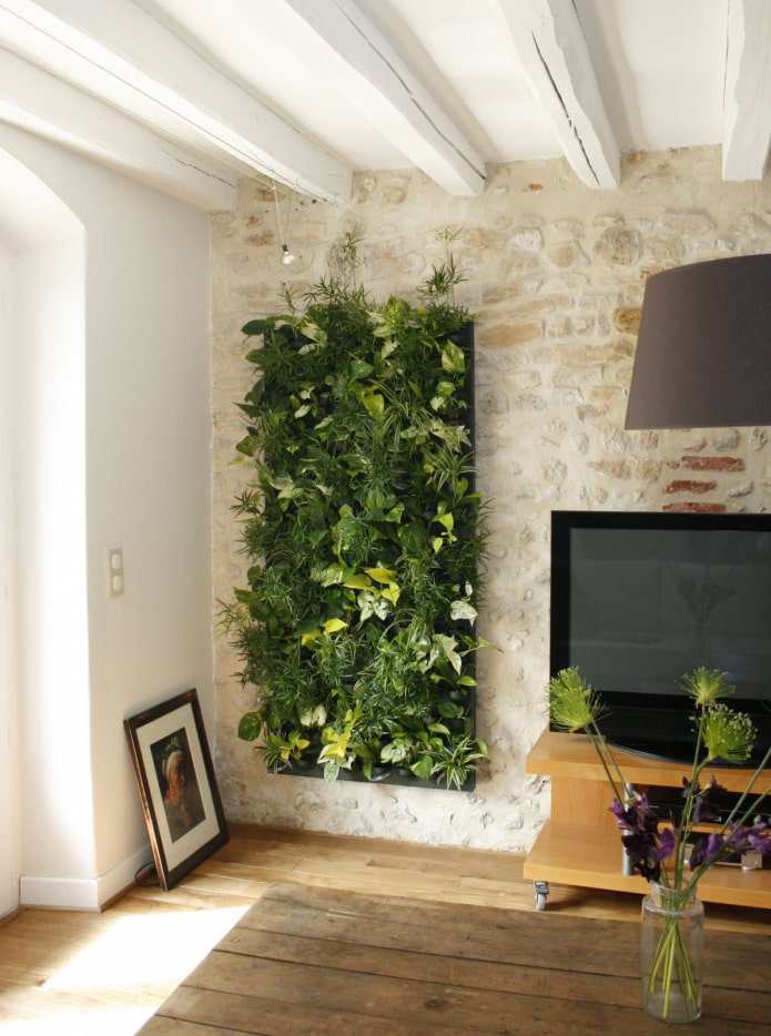 phytowall bij de tv