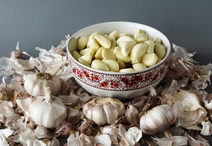 hoe gebruik je knoflook tegen mieren
